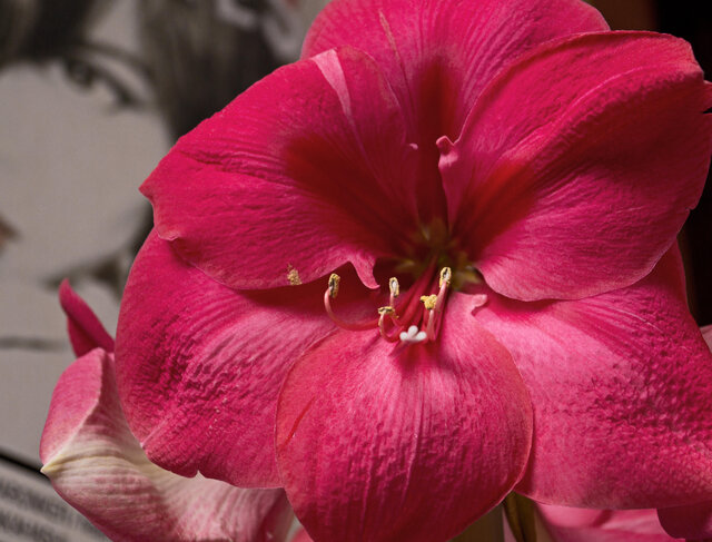 Фото Игорь Ingwar Горшков