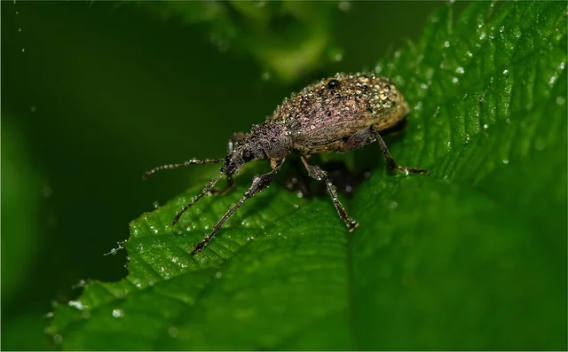 Aleksej Dudinskij's photo