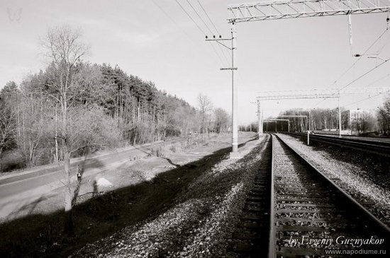 Фото Evgeniy Guznyakov