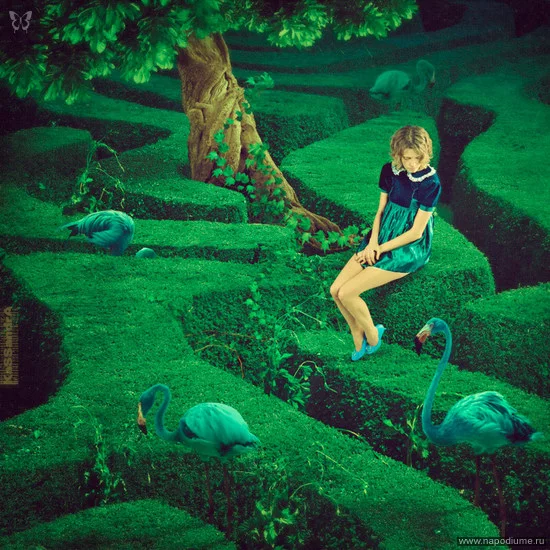 Elena Vizerskaa's photo