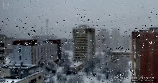 Aleksey SapozhkoFF's photo