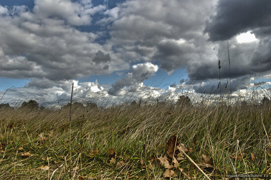 Фото Andrew Solovev