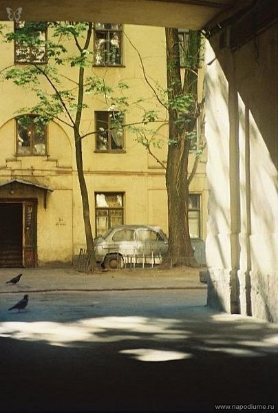 Фото Александр Большов