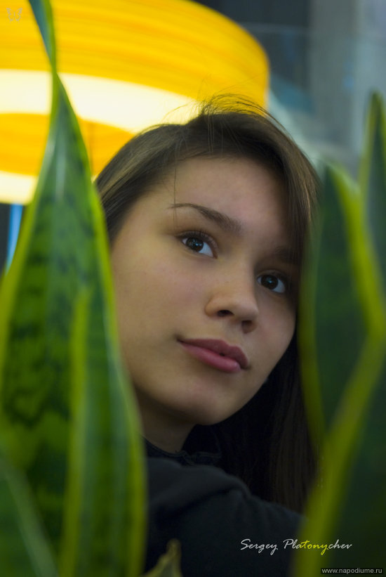 пленэр,  портрет,  Tfp,  спб,  фотограф,  Spb,  питер,  санкт петербург,  девушк,  осень,  весна,  зима,  лето,  природ,  прогулк,  студи,  съемка,  фоторгаф,  Sergey,  Platonychev,  сергей,  платон,  платонычев