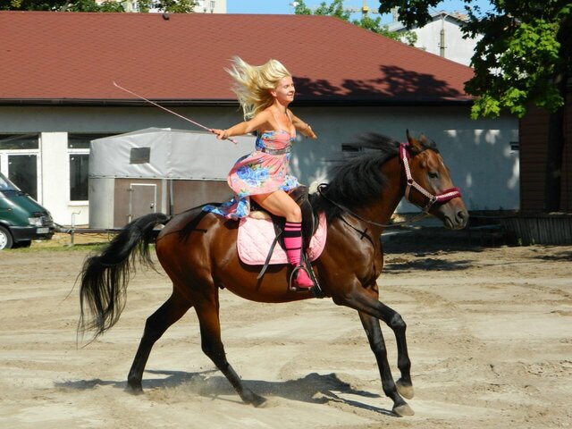 Model With Horse