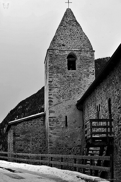 Фото studio Vitaliano