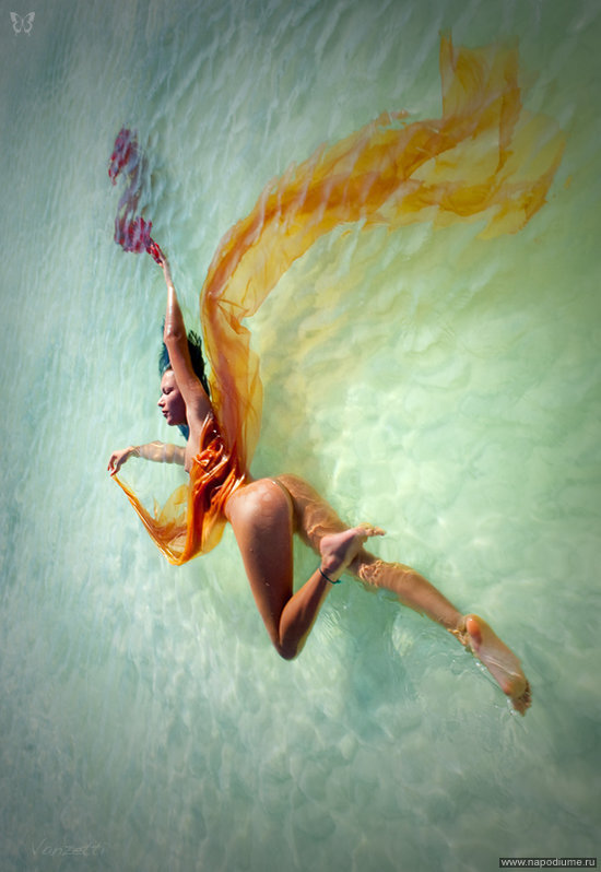 Фото Alex Vanzetti
