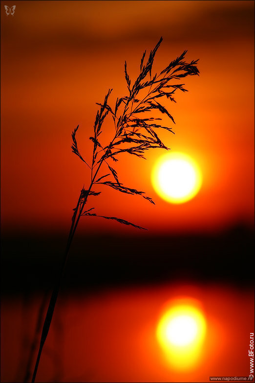 Новые фото http://www.bfoto.ru/new_photo.php