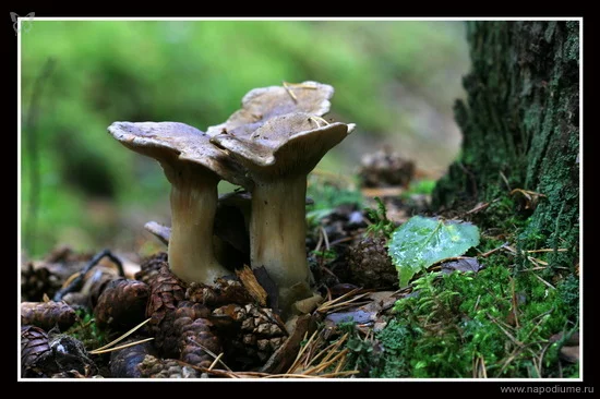 Urij Kalent'ev's photo
