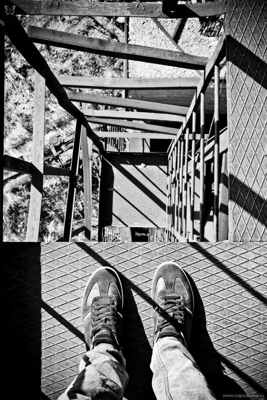 Фото Lexx Lexx