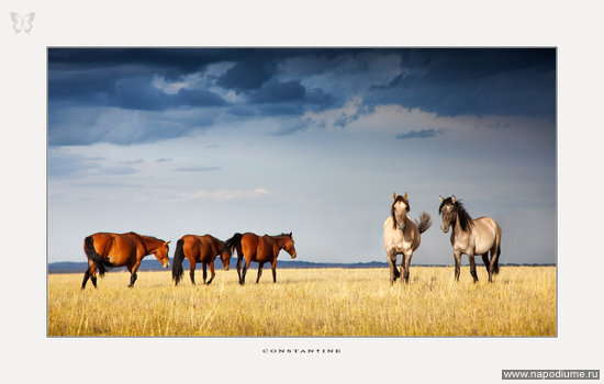 Фото Константин Киквидзе