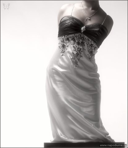 Фото Елена Шашкина