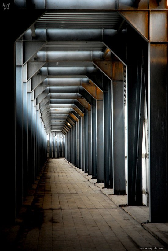 Foto Aleksandr Kuznecov