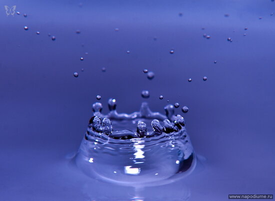 Фото Kris Kelvin