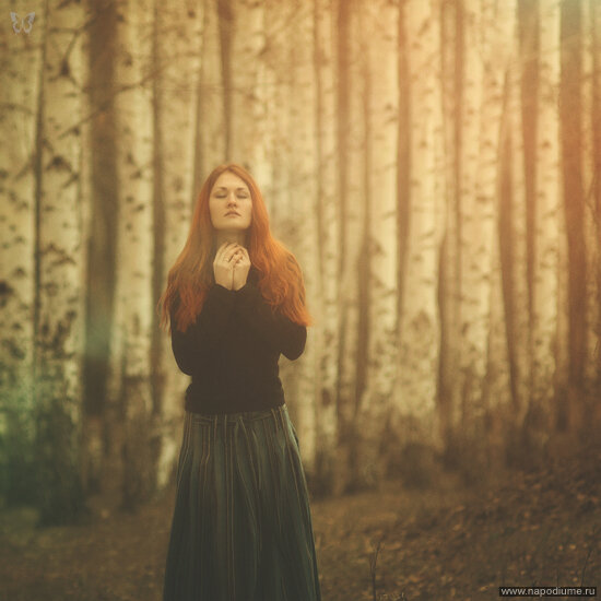 Фото Alex Homin
