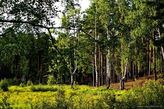 Фото Мария Romashka Герасимова