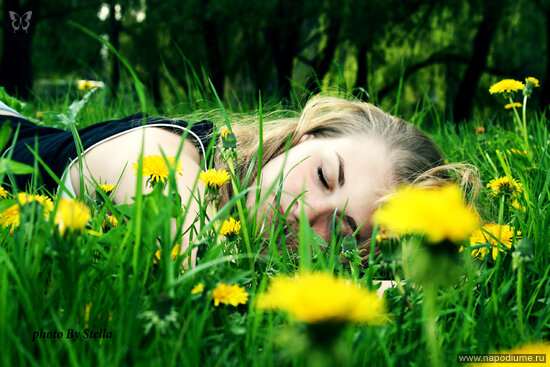 Фото Wonderful Life Life