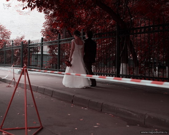 Фото Дмитрий Беляев