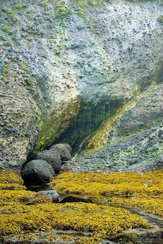 Vaceslav Ivanov's photo