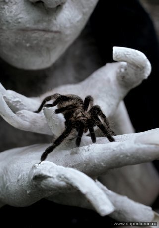 Natalia Zilakova's photo