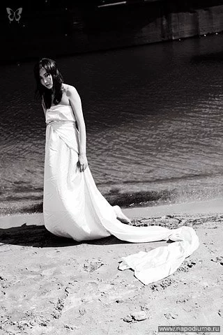 photo #17531