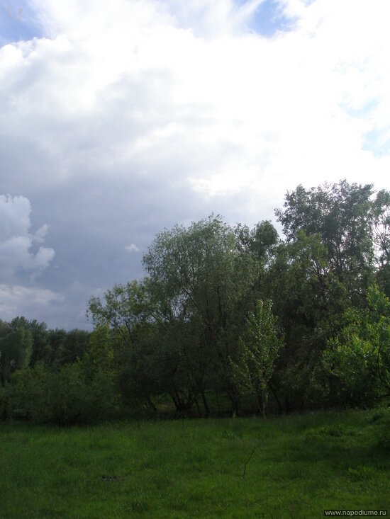 Фото Юлия Liya