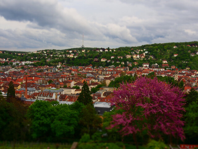 Фото Руслан Shpakovich Шпакович
