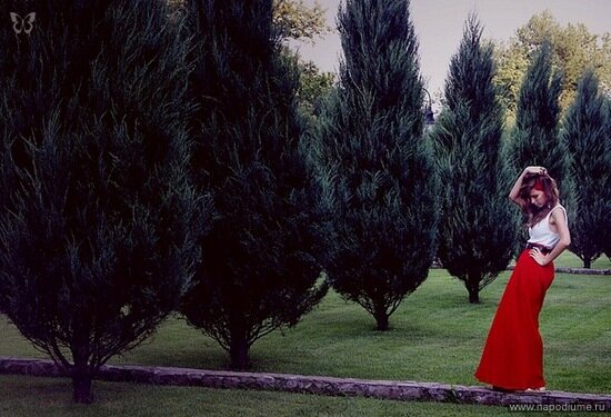Фото Алина Дичкова