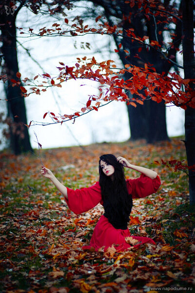 Фото Aleksander Shaga