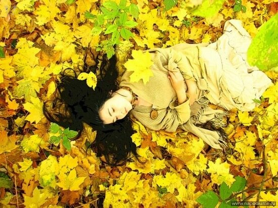 Фото Iva Basara