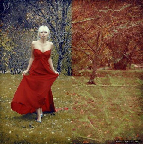 Фото Ольга Петрашова