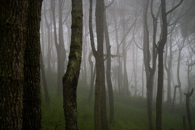 Фото Ruslan RusArtFoto Shatskih