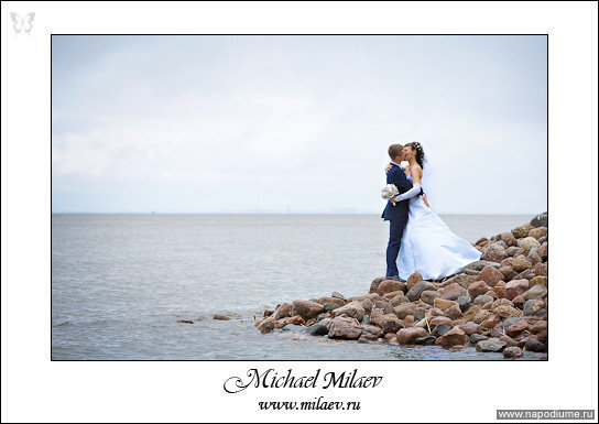 Wedding,  свадьба