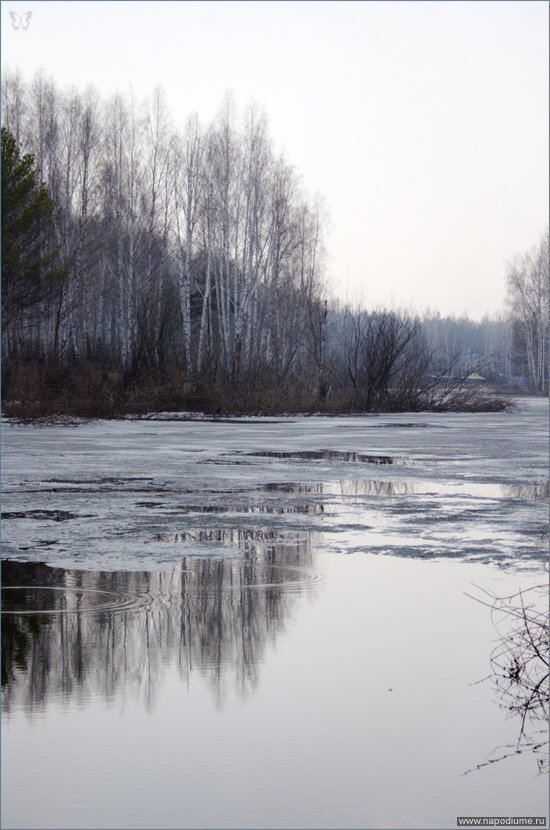 пейзаж