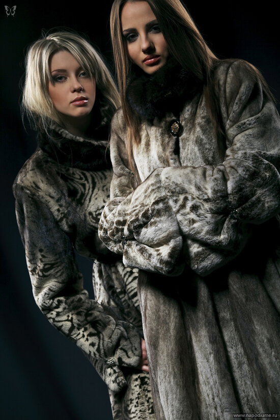 Fashion
