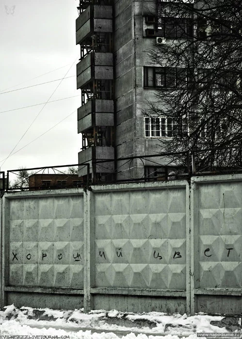 Maksim Katerkov's photo