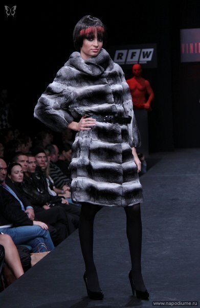 Fashion