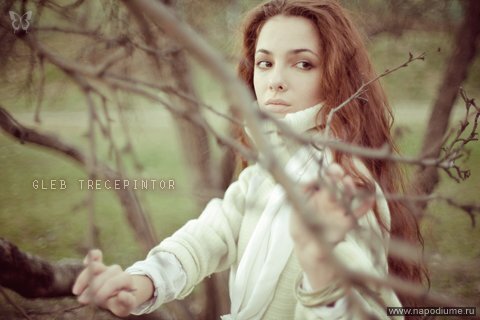 Фото GLEB TRECEPINTOR