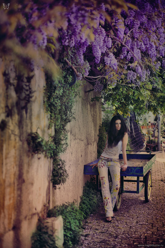 Фото Сина Demiral