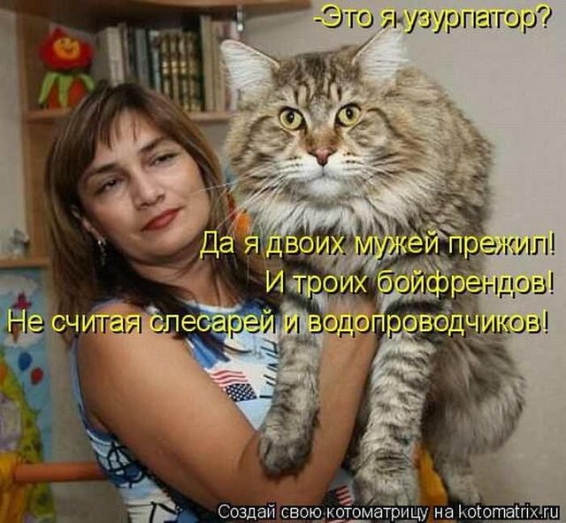 Фото Участник 2448502