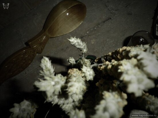 Фото Julia Tofan
