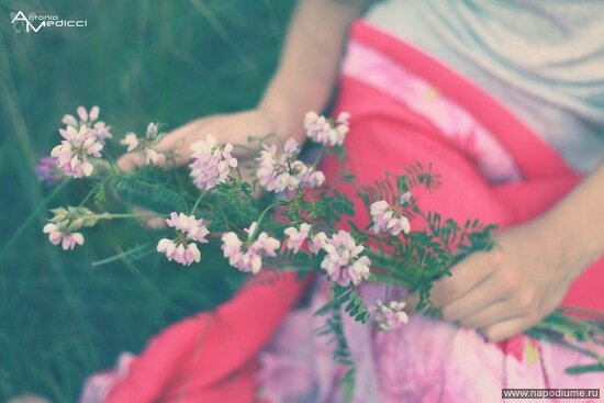 Фото Stasy