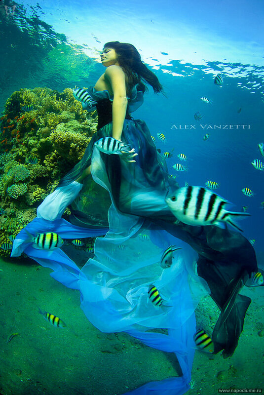 Фото Alex Vanzetti