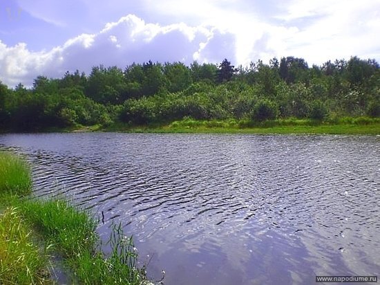 Фото Николай Веселов