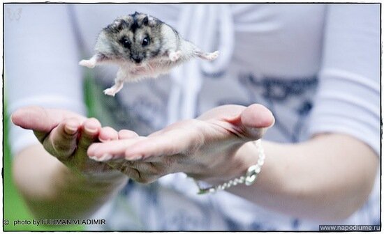 Фото Антон Филонов