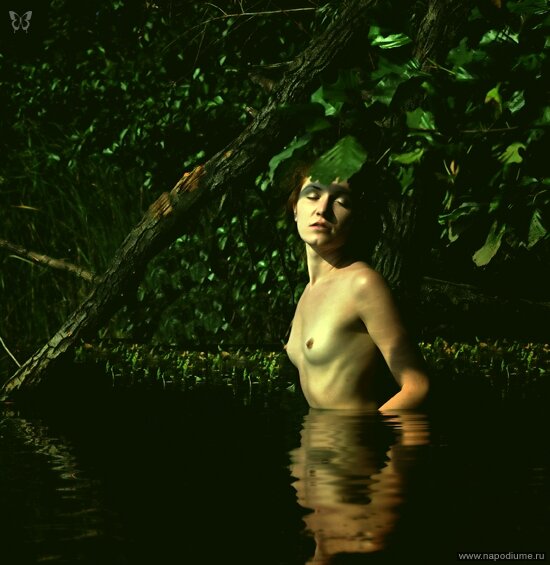 Фото Svetlana TerRAkot