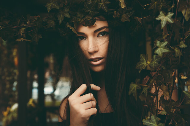 Morris Fayman photography