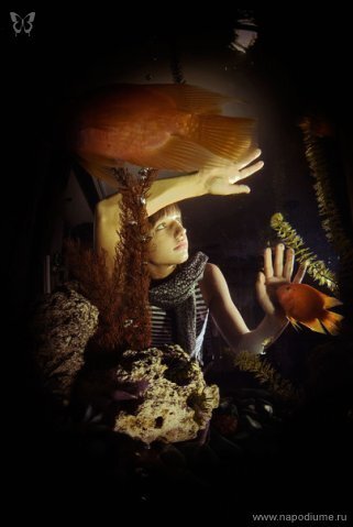 Foto Maksim Dackevic