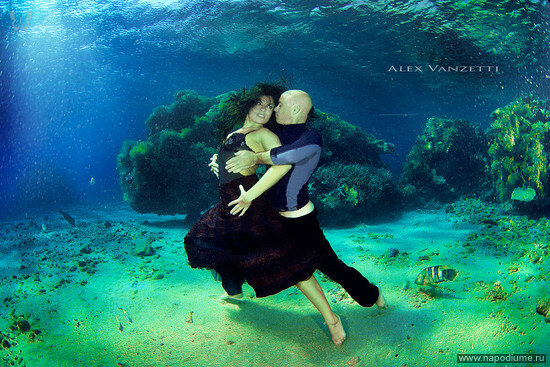 Фото Alex Vanzetti