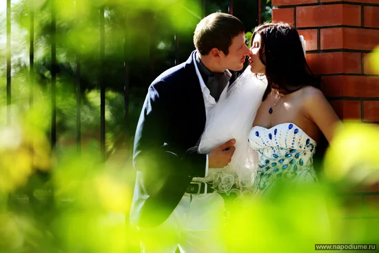 photo #1812333